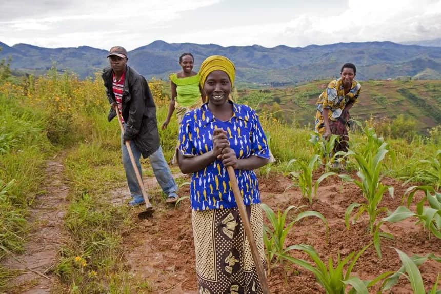 Cost of Inaction in African Agriculture